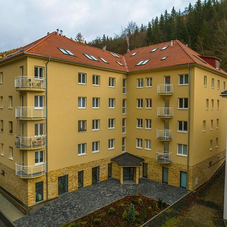 Apartman 11 - Rezidence K Lanovce Jáchymov Eksteriør billede